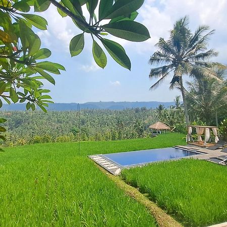 Bali De Pardis Cottage Munduk Exterior foto