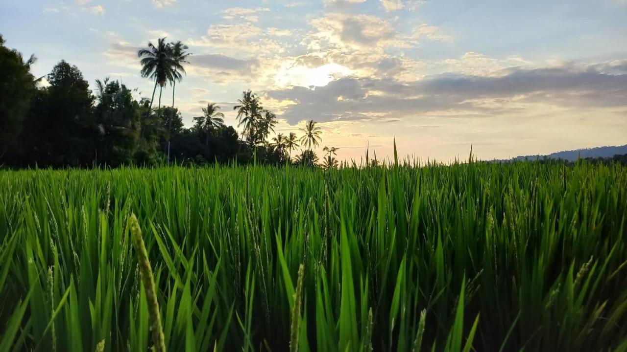 Bali De Pardis Cottage Munduk Exterior foto
