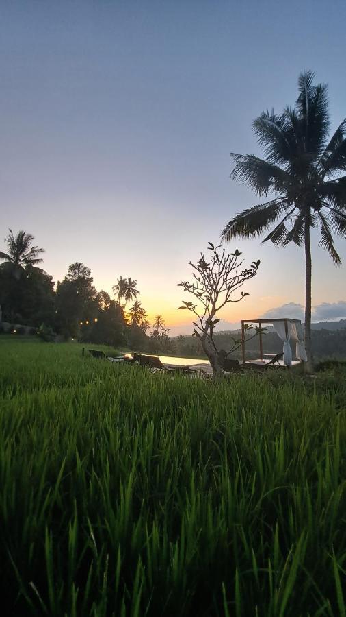 Bali De Pardis Cottage Munduk Exterior foto
