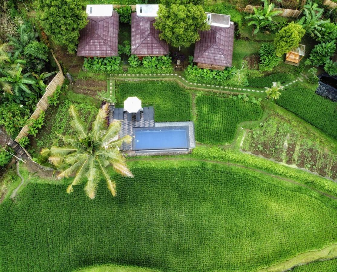 Bali De Pardis Cottage Munduk Exterior foto