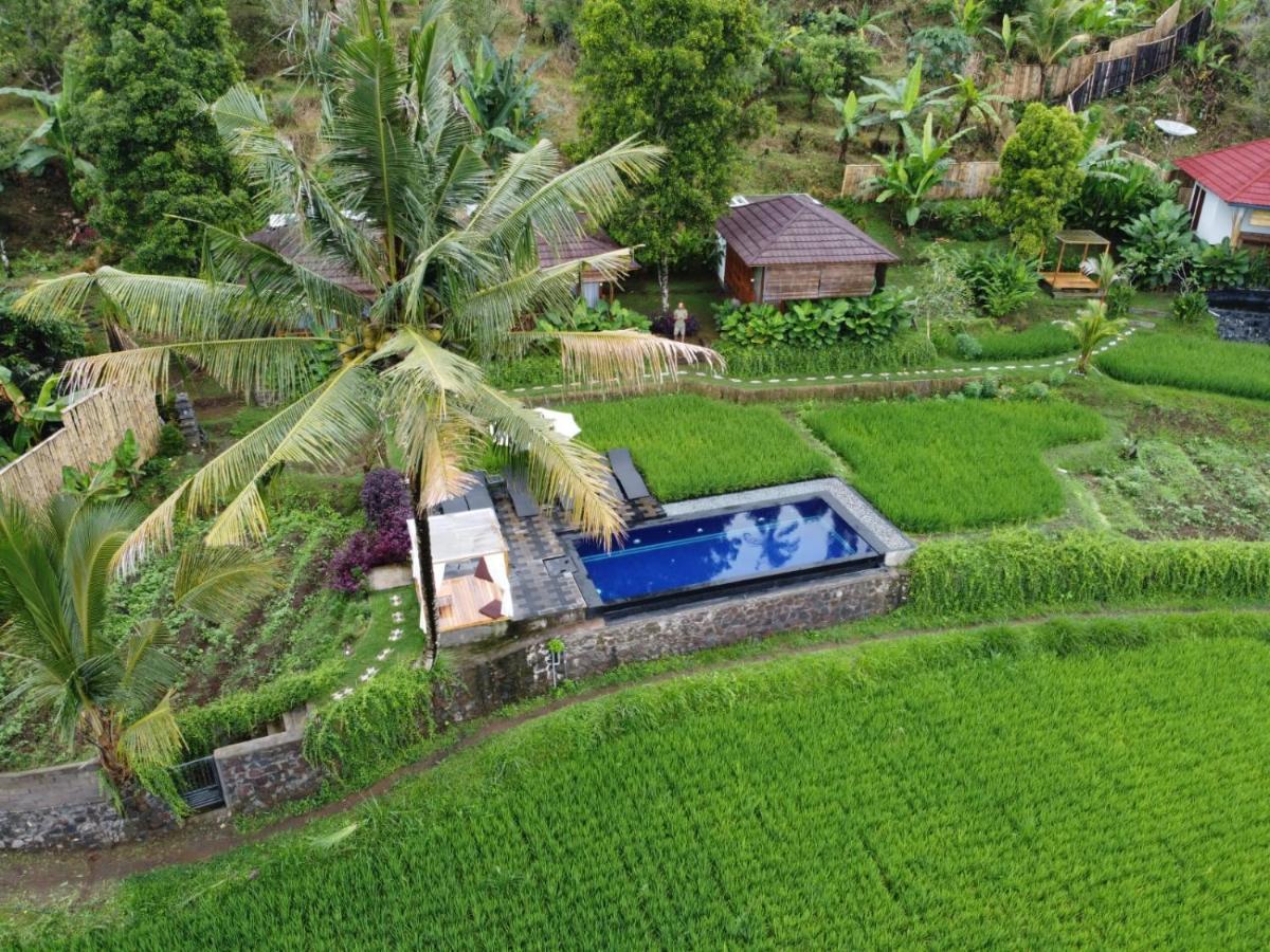 Bali De Pardis Cottage Munduk Exterior foto